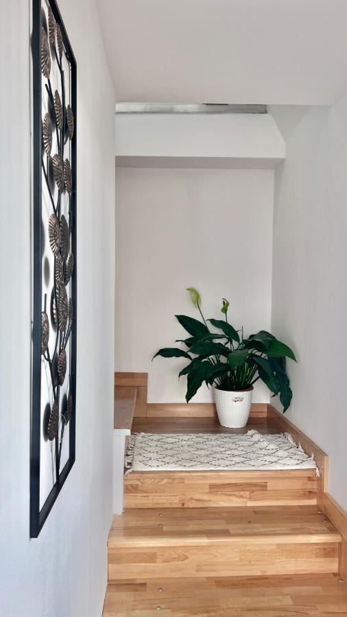 Lovely Loft Cluj-Napoca Luaran gambar